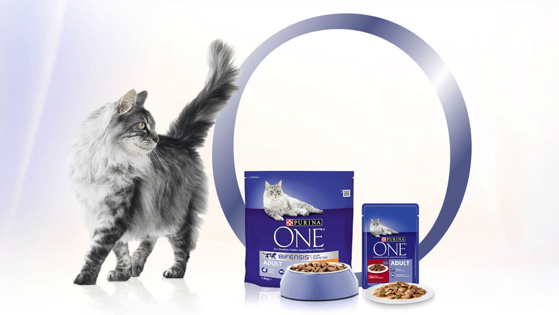 Purina One Bifensis Cat Food Purina